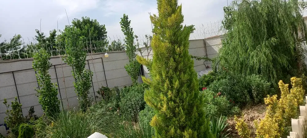 ویلا دوبلکس
