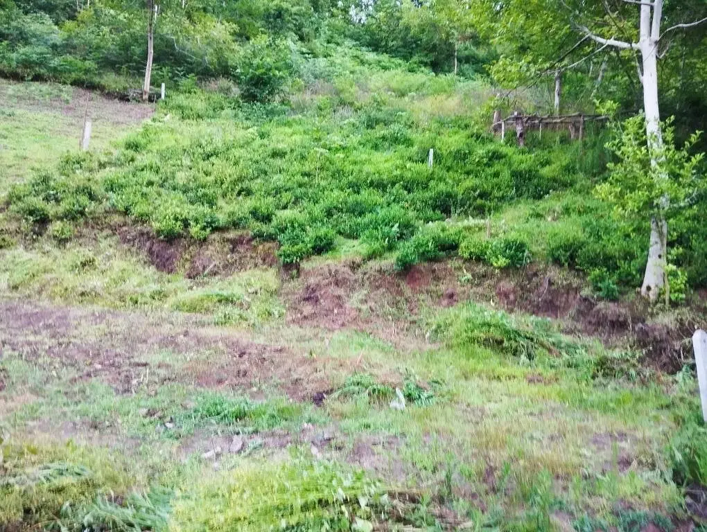 زمین باغی ۵۰۰ متر