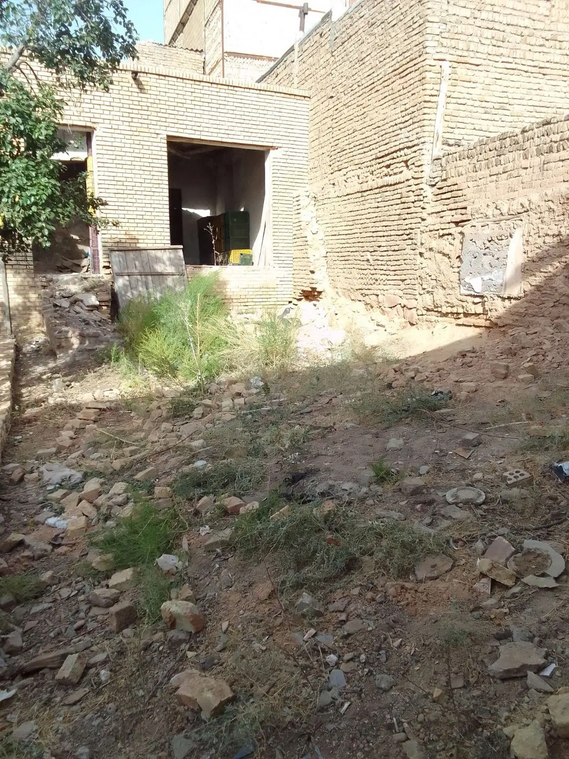 زمین گلنکی