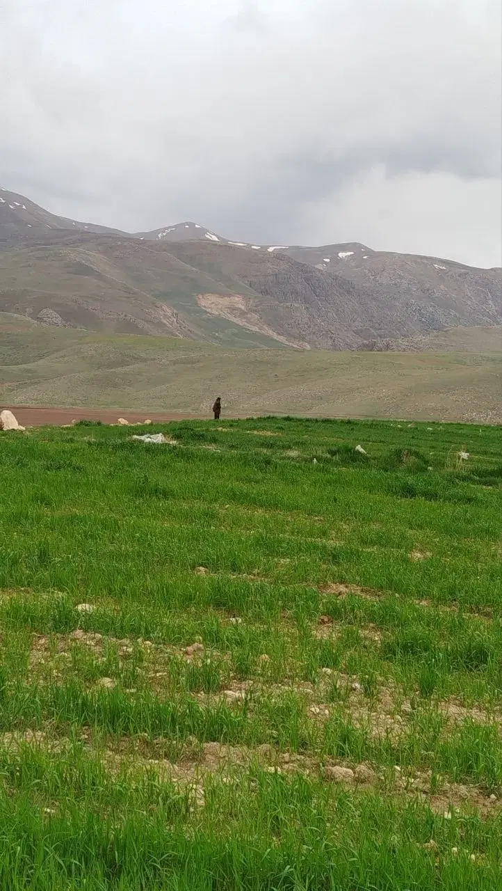 زمین کشاورزی