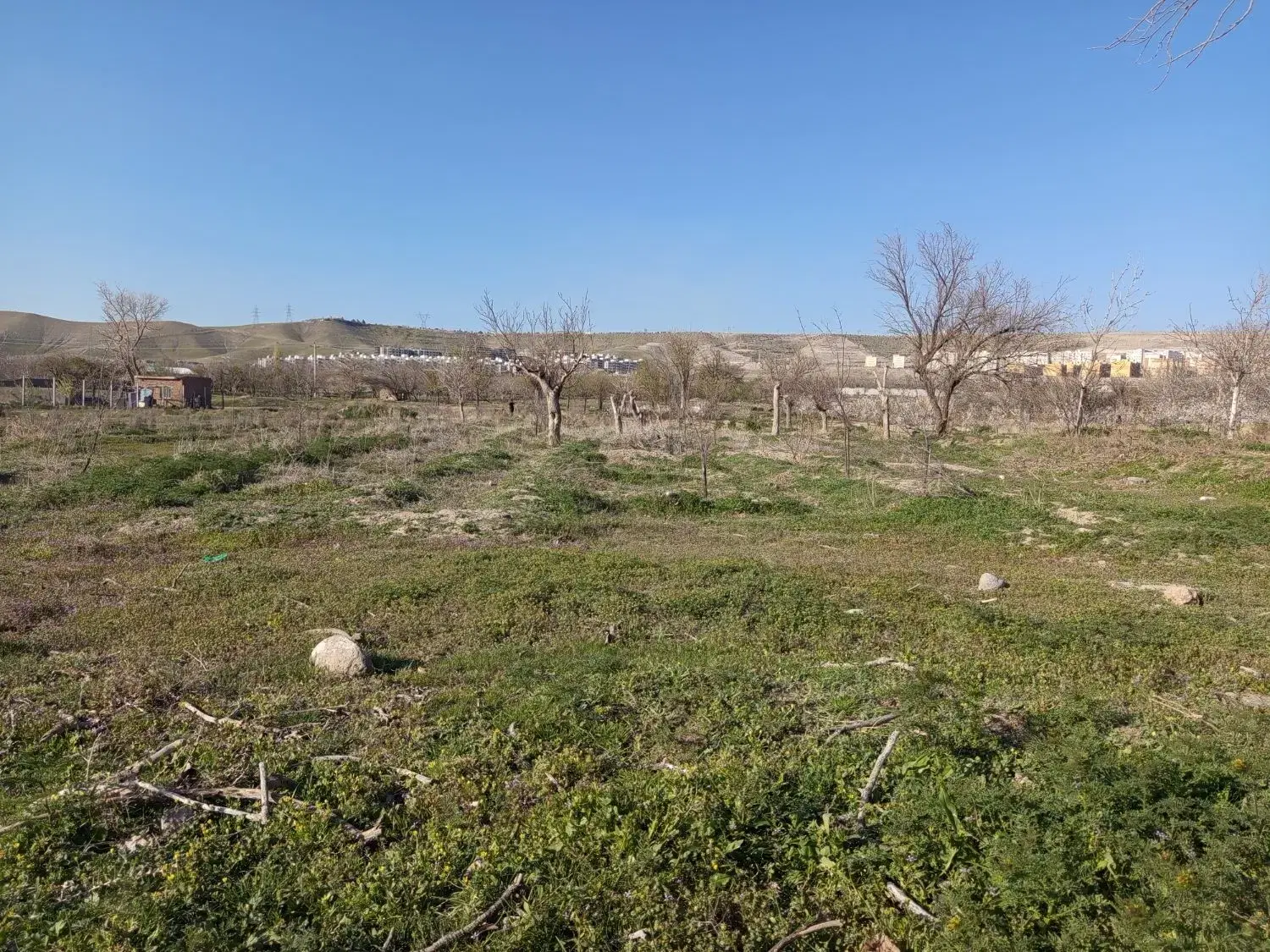 باغ زمین زراعی ویلایی 2223 متر