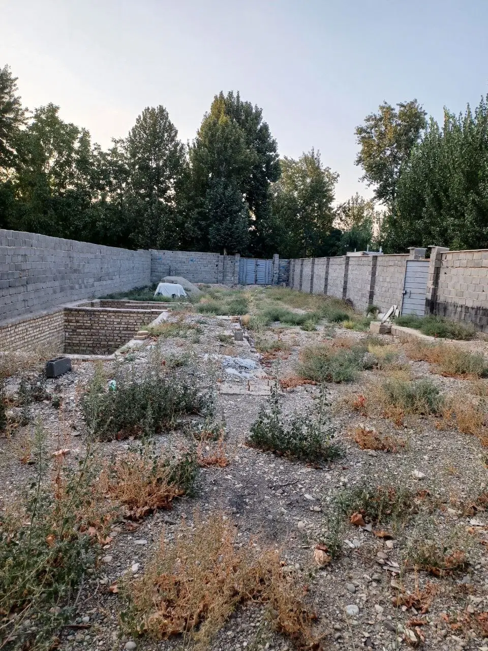 زمین باغ باغچه کردان تهراندشت سعید آباد