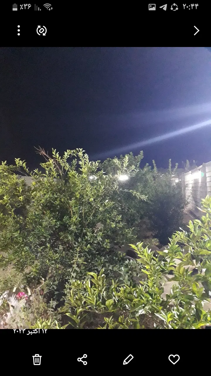 ویلا باغ