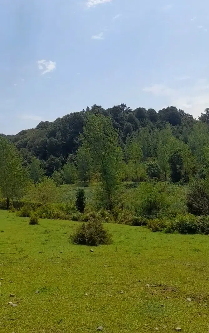 زمین هکتاری