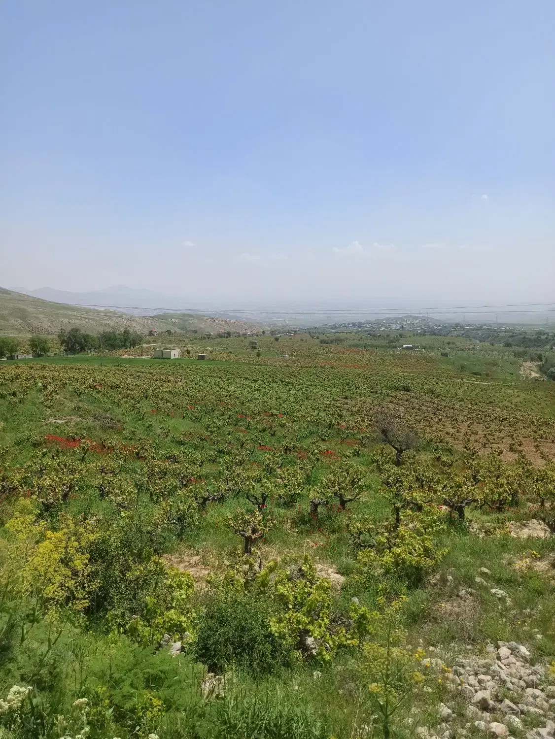 فروش زمین در داود آباد اراک