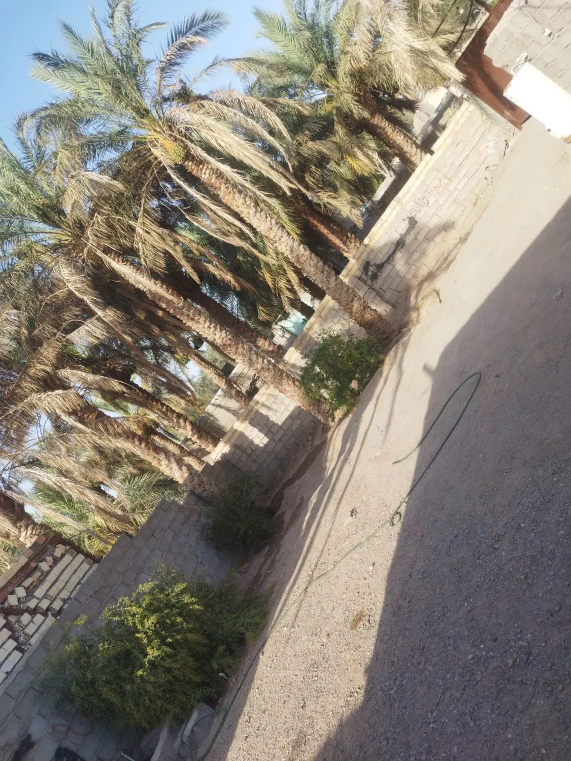 اجاره