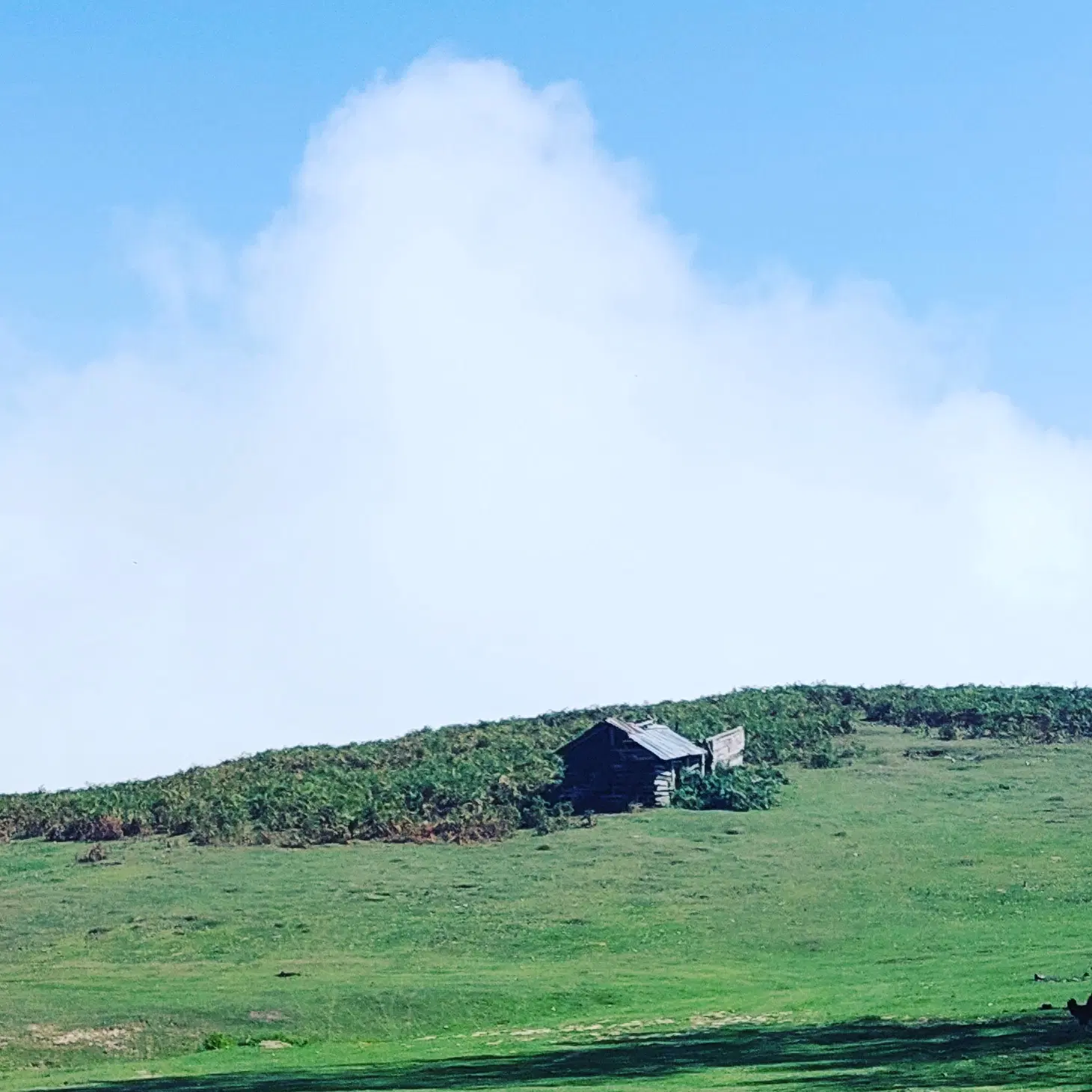 زمین در روستای امیراباد
