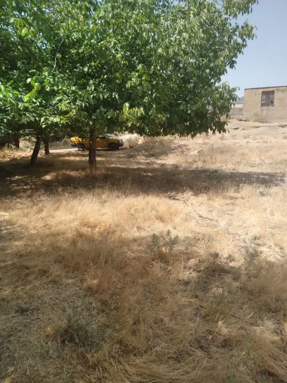 فروش زمین قابل در روستای جدول غوره امامزاده مختار