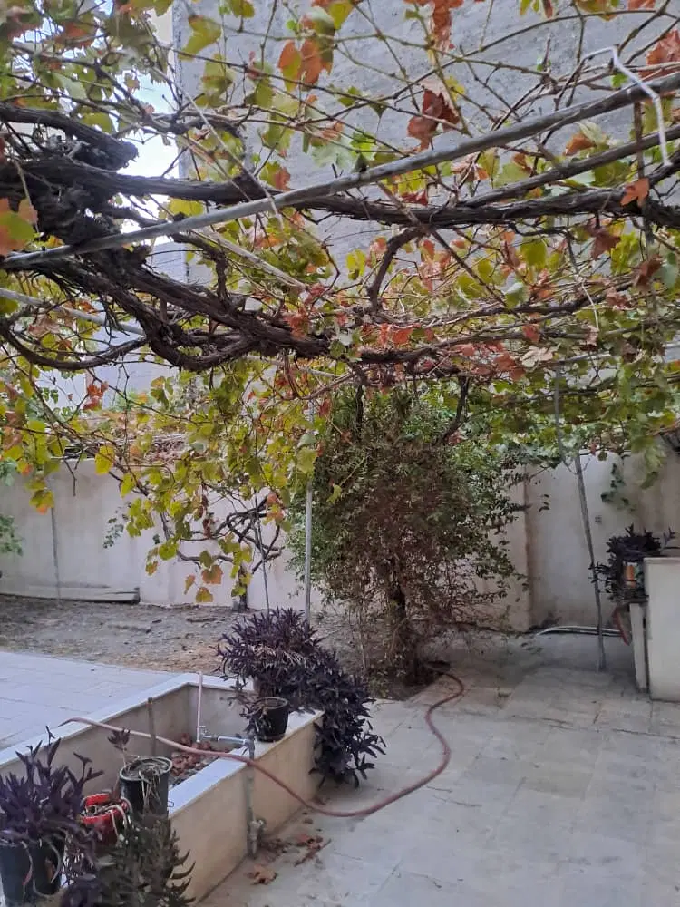 ویلایی لادن