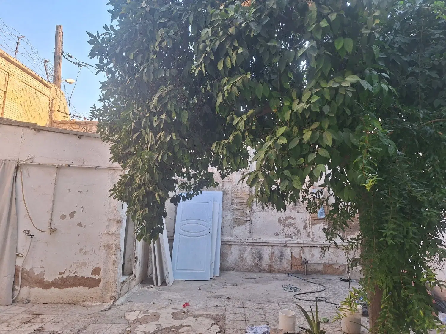 فرصت استثنایی برای سرمایه گذاران
