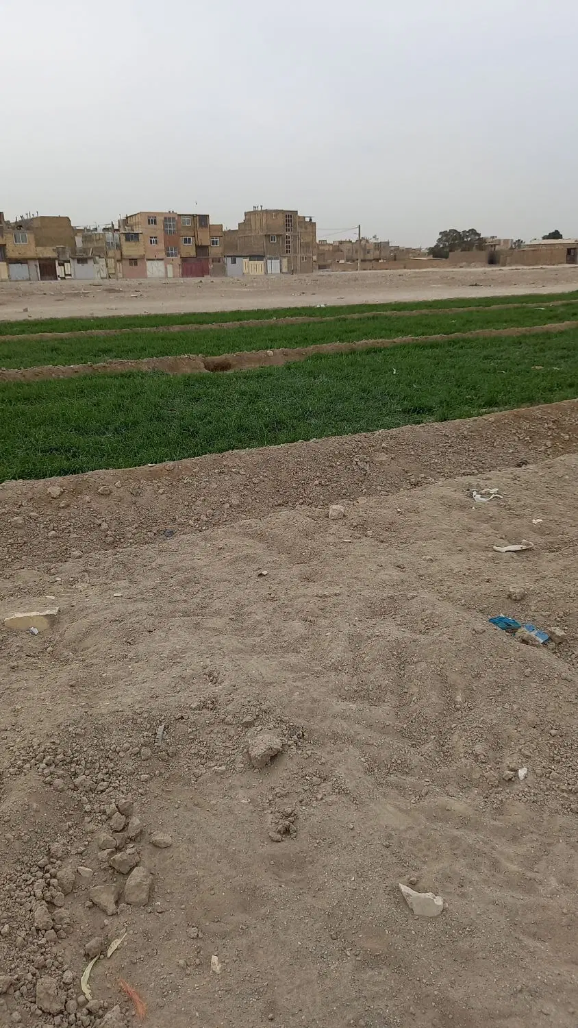 زمین باغی ۵۶۲ متر سند دار