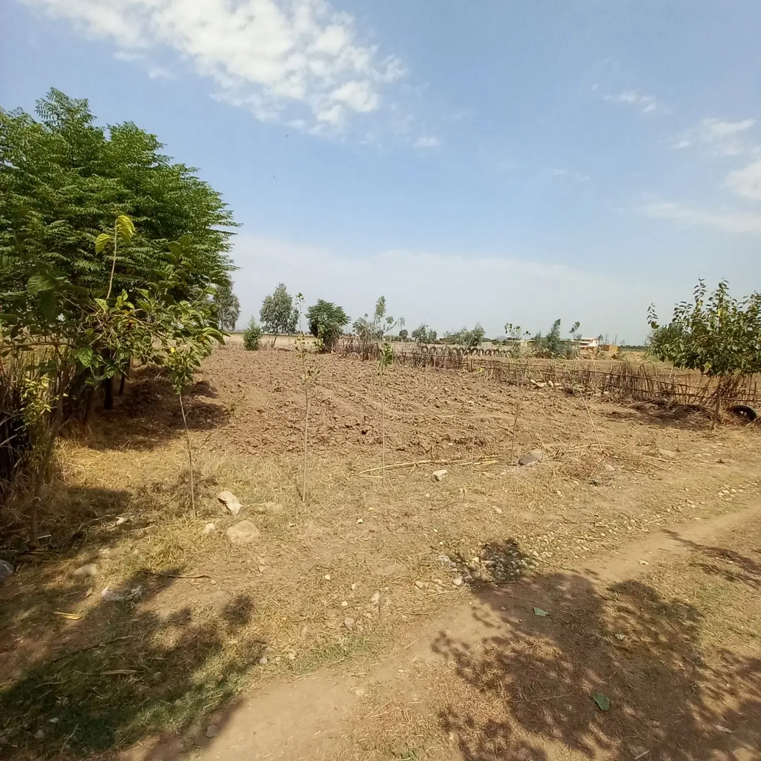 فروش زمین باغی