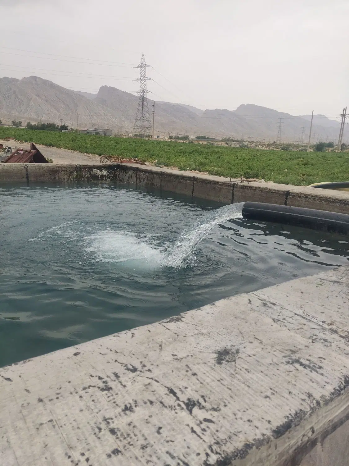 اجاره زمین کشاورزی 4_4000هزارمترمربع