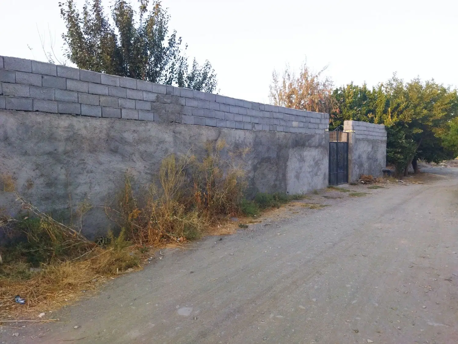 زمین باغچه دور دیوار