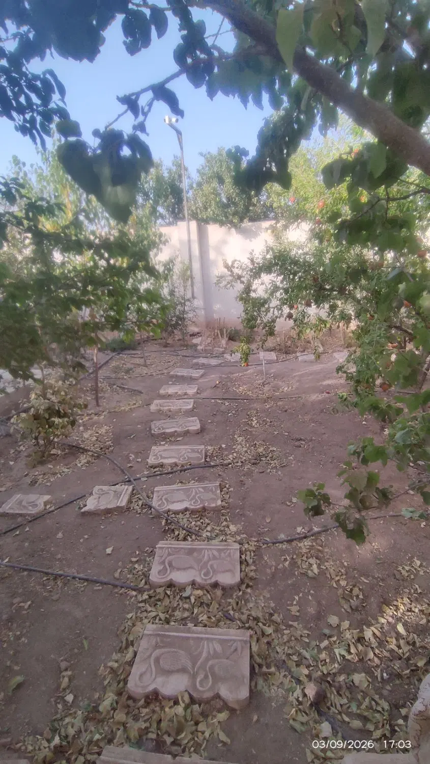 خانه باغ بزرگ سر سبز پر امکانات
