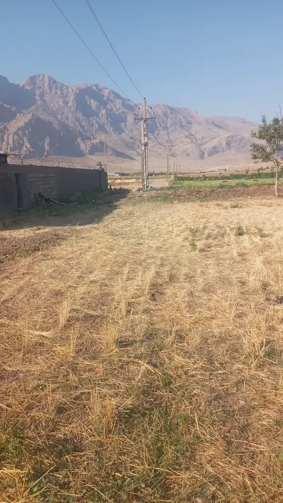 زمین باغی برا خانه باغ وغیره