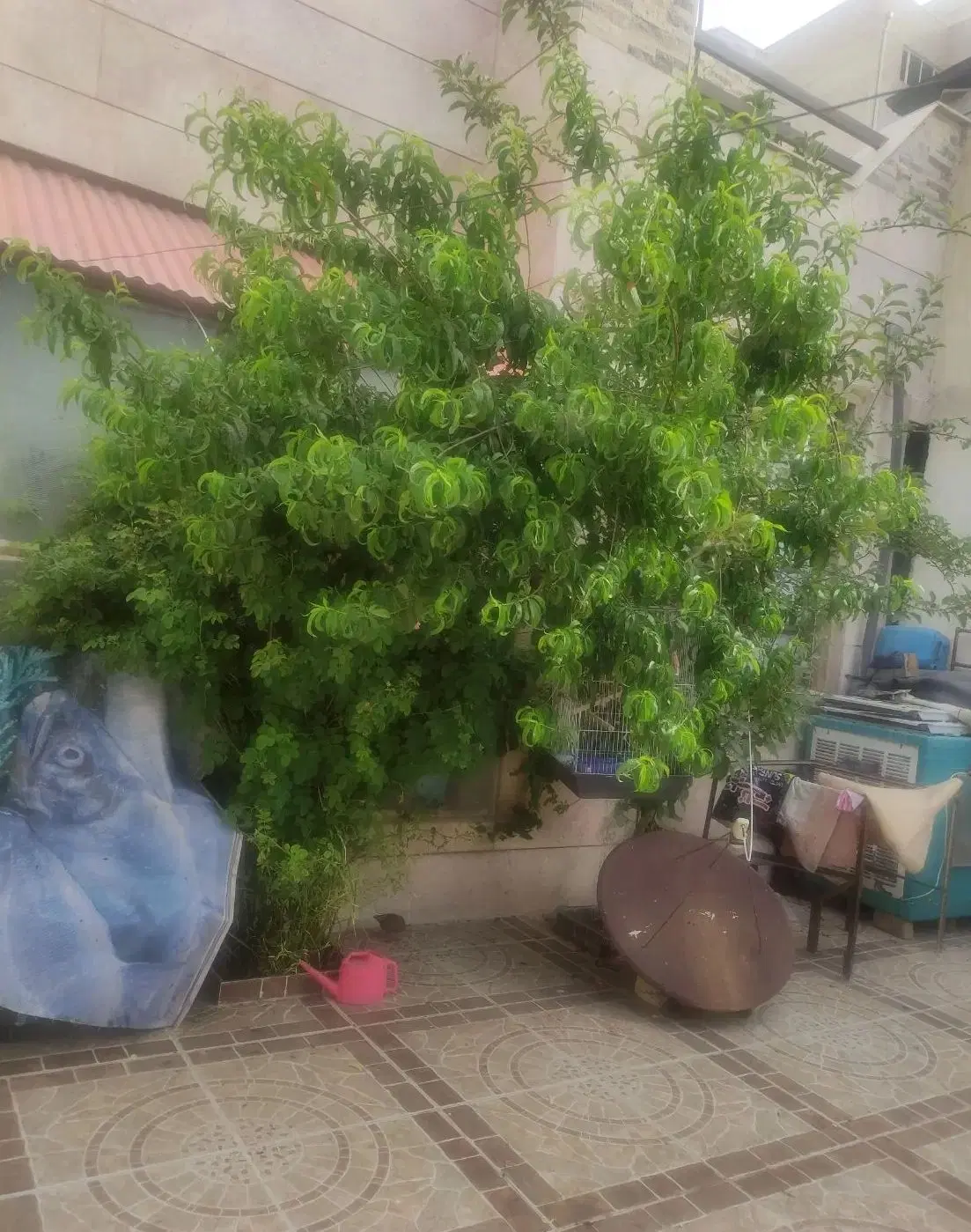 فروش خونه دوطبقه کاملامستقل جانبازان