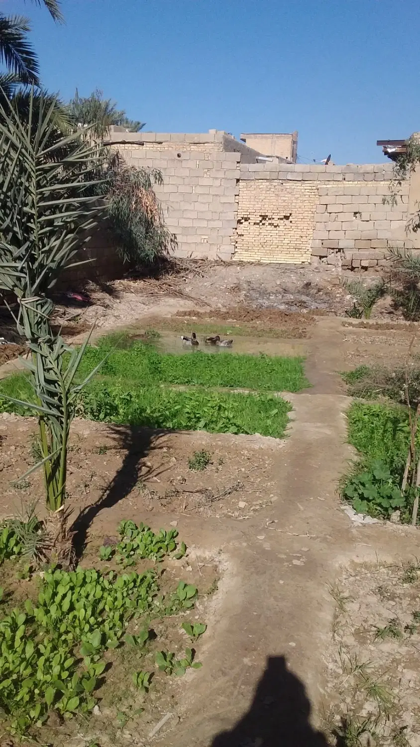 زمین