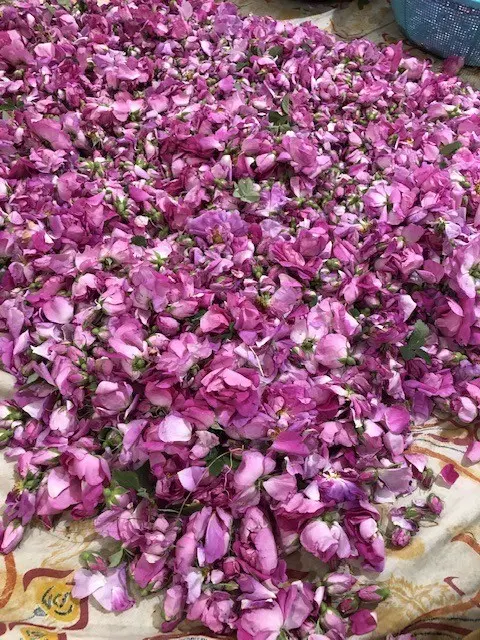 باغ