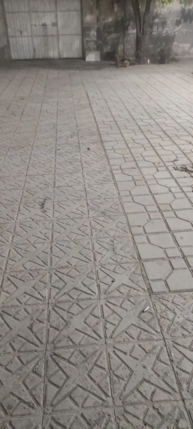 ملک کلنگی