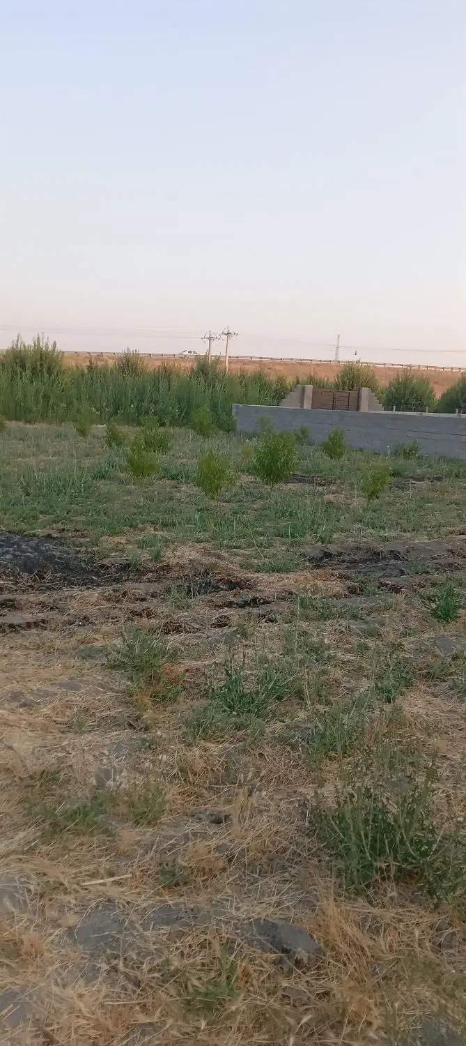 باغچه