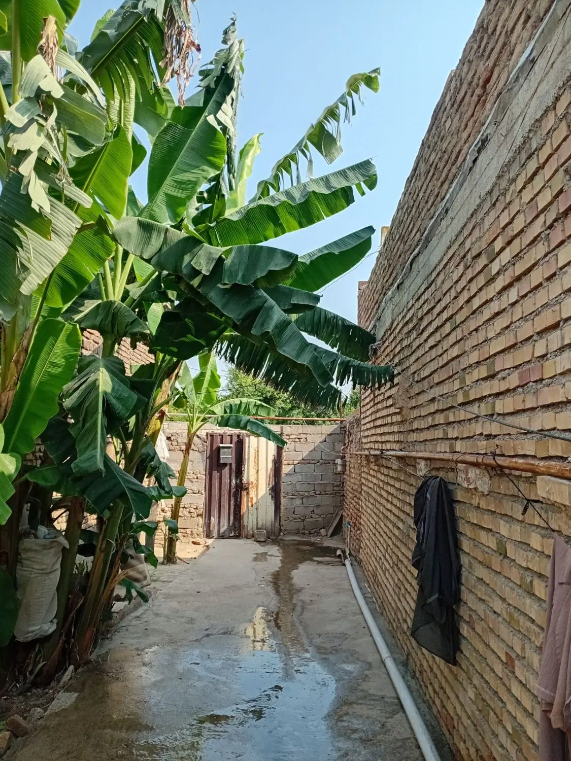 حیاط فروشی