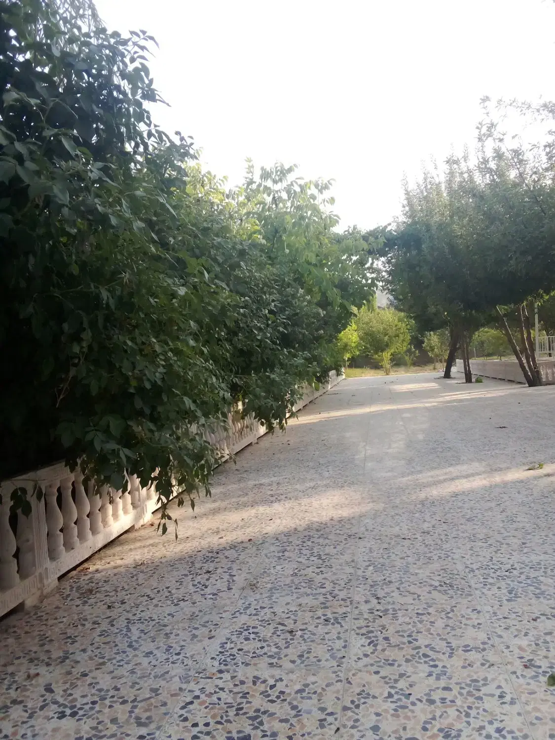 فروش باغ شهری با چاه آب شخصی داخل خود باغ