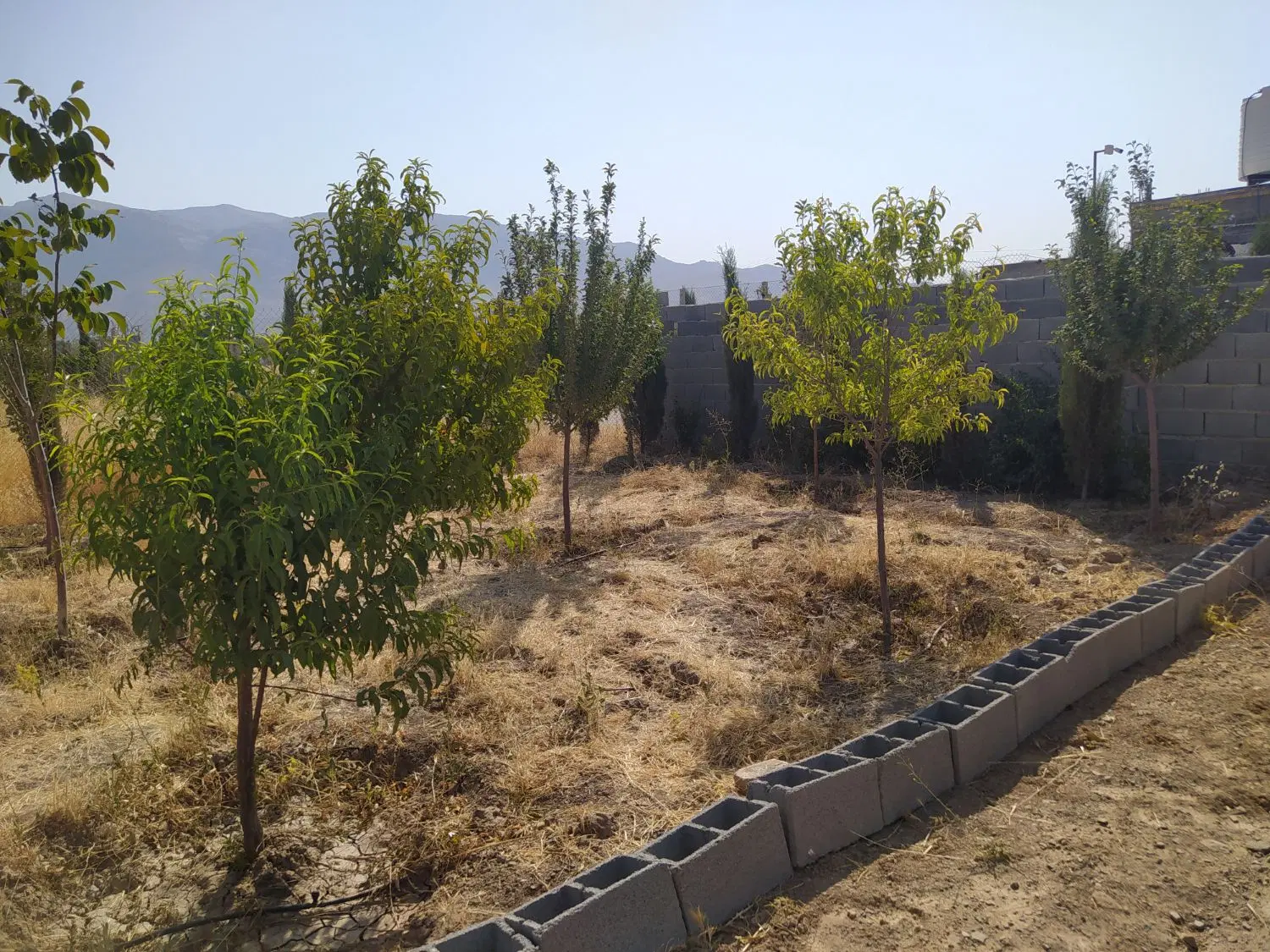 خونه باغ فروشی