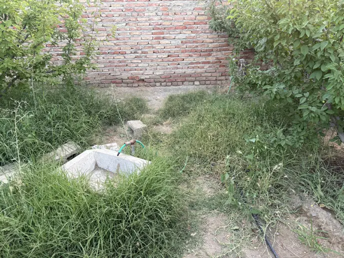 باغ ویلایی