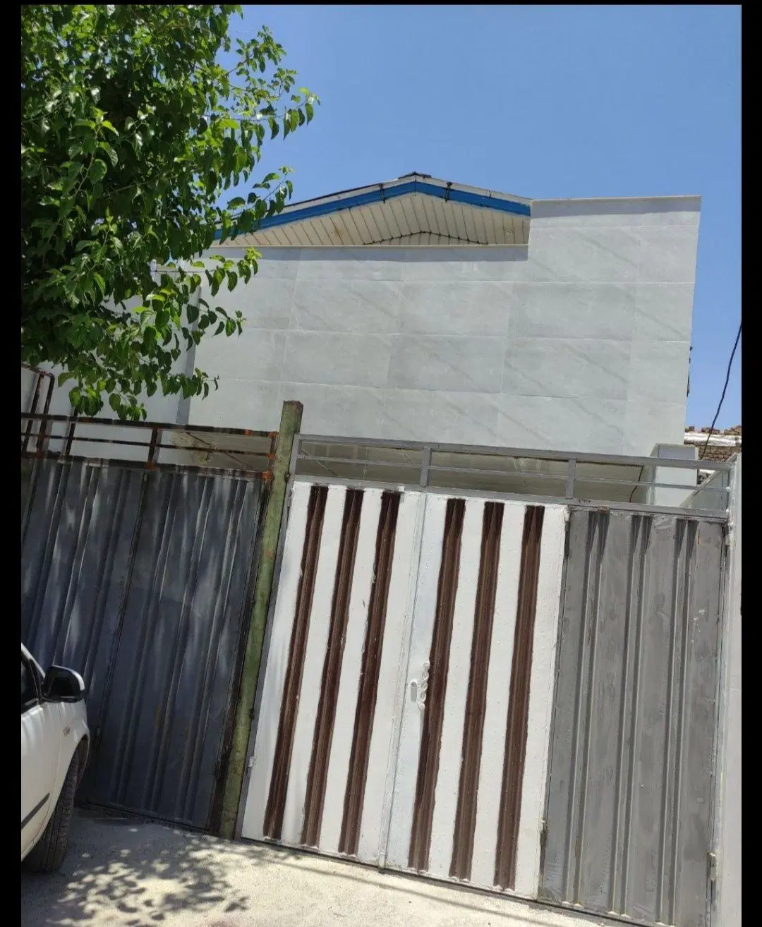 گلدشت عربان نهال ها