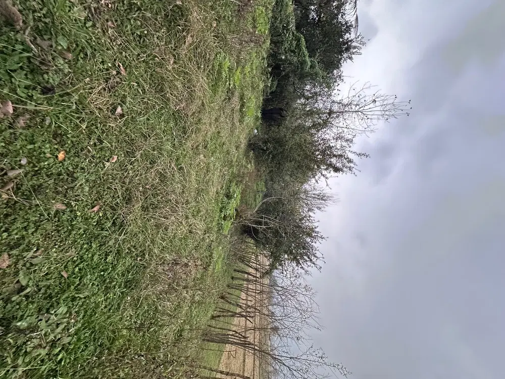 زمین 500 متری مسکونی در روستای توریستی ماسال