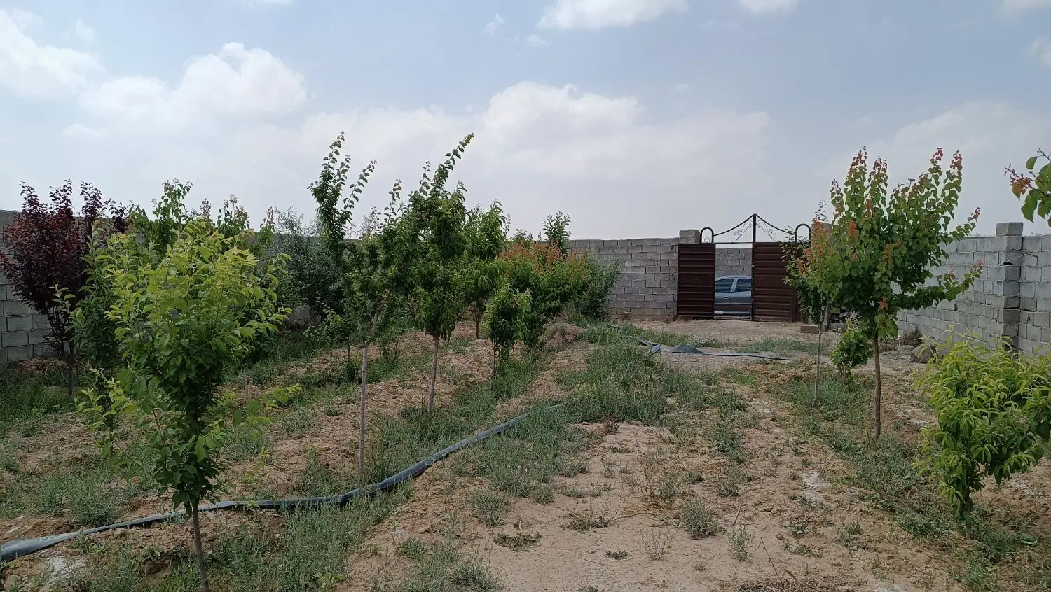 باغ ۵۰۰ متر شاهنامه ۶۹، روستای زاک