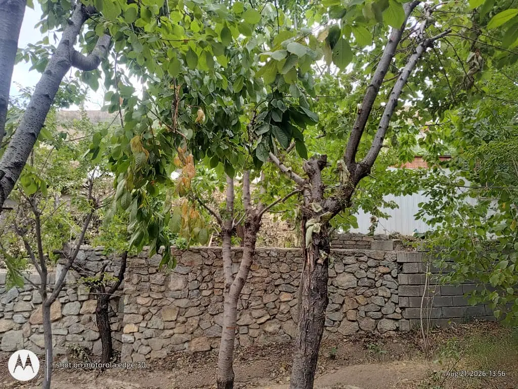 زمین سند ۶ دانگ با بنا فروش یا معاوضه