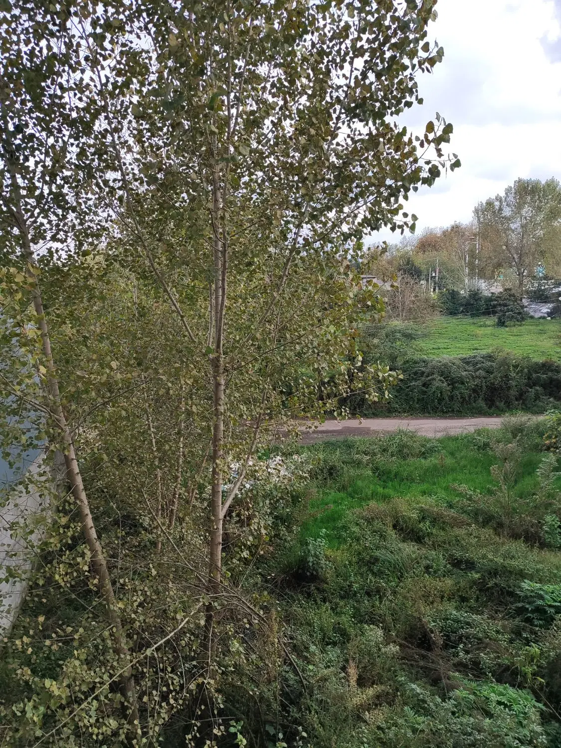 زمین ۲۲۴ متری_میدان چای