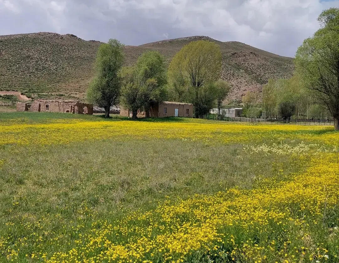 زمین فروشی