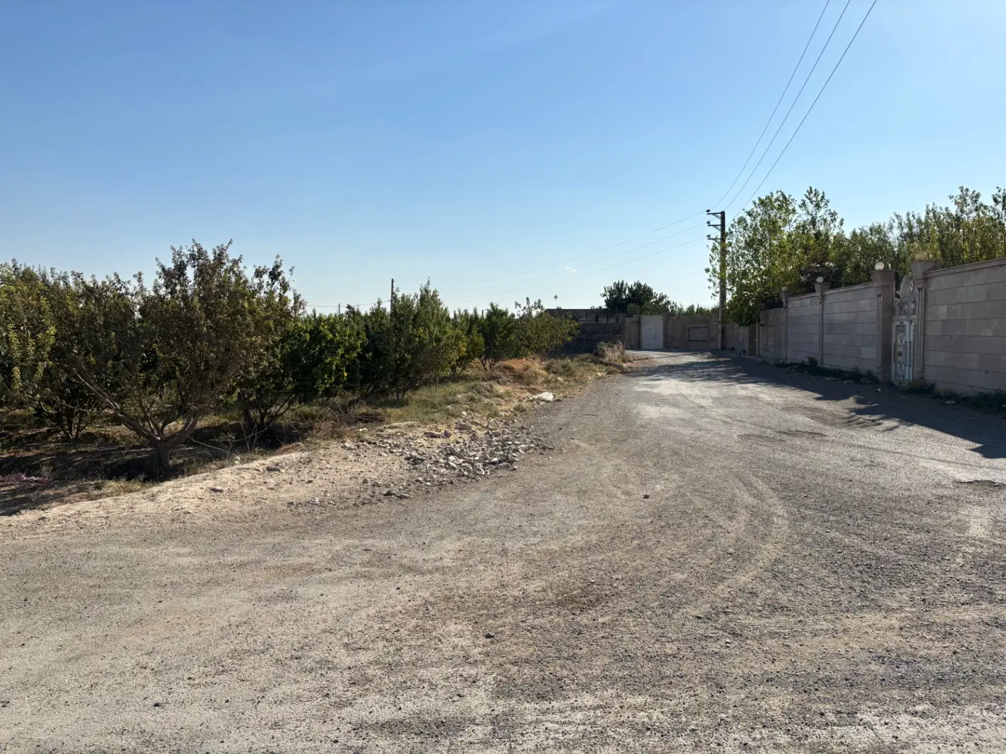 باغچه