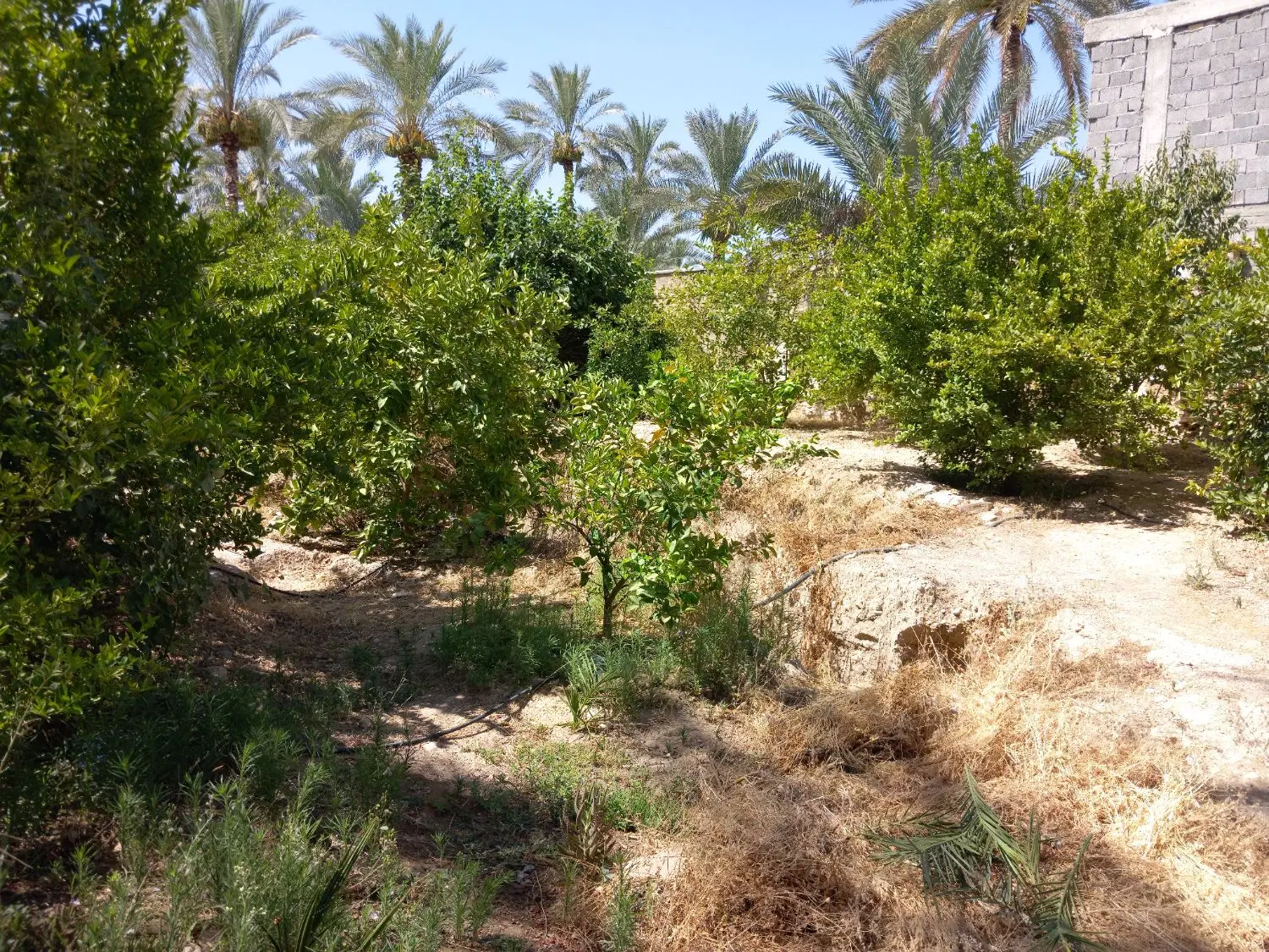 رهن و اجاره منزل دالکی محله ارامگاه