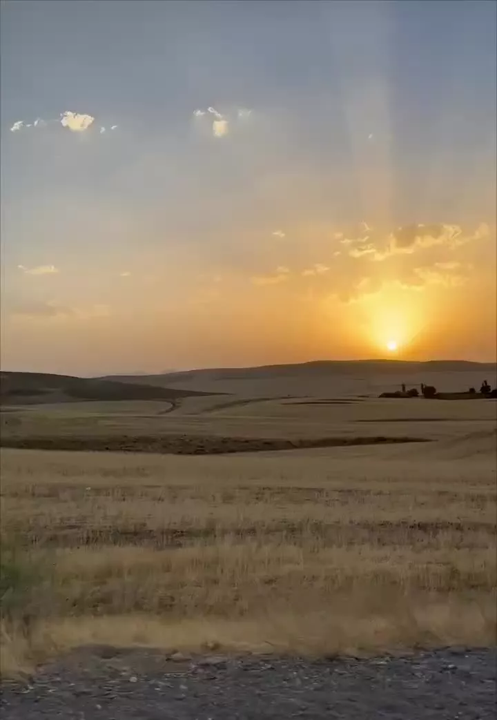 زمین کشاورزی