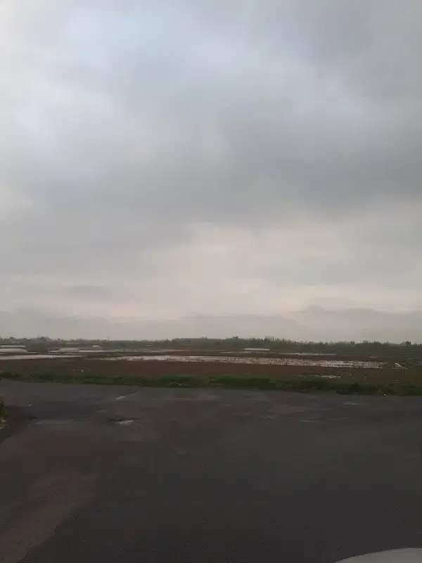 مشارکت در ساخت