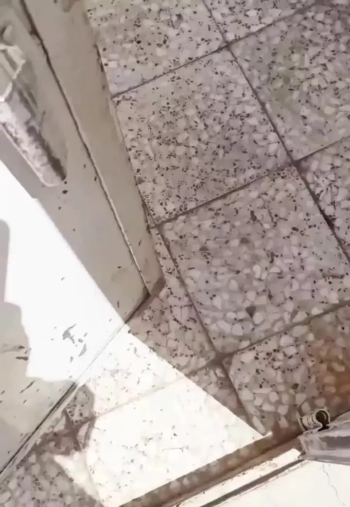 خانه رهن و اجاره بلوار روحانی