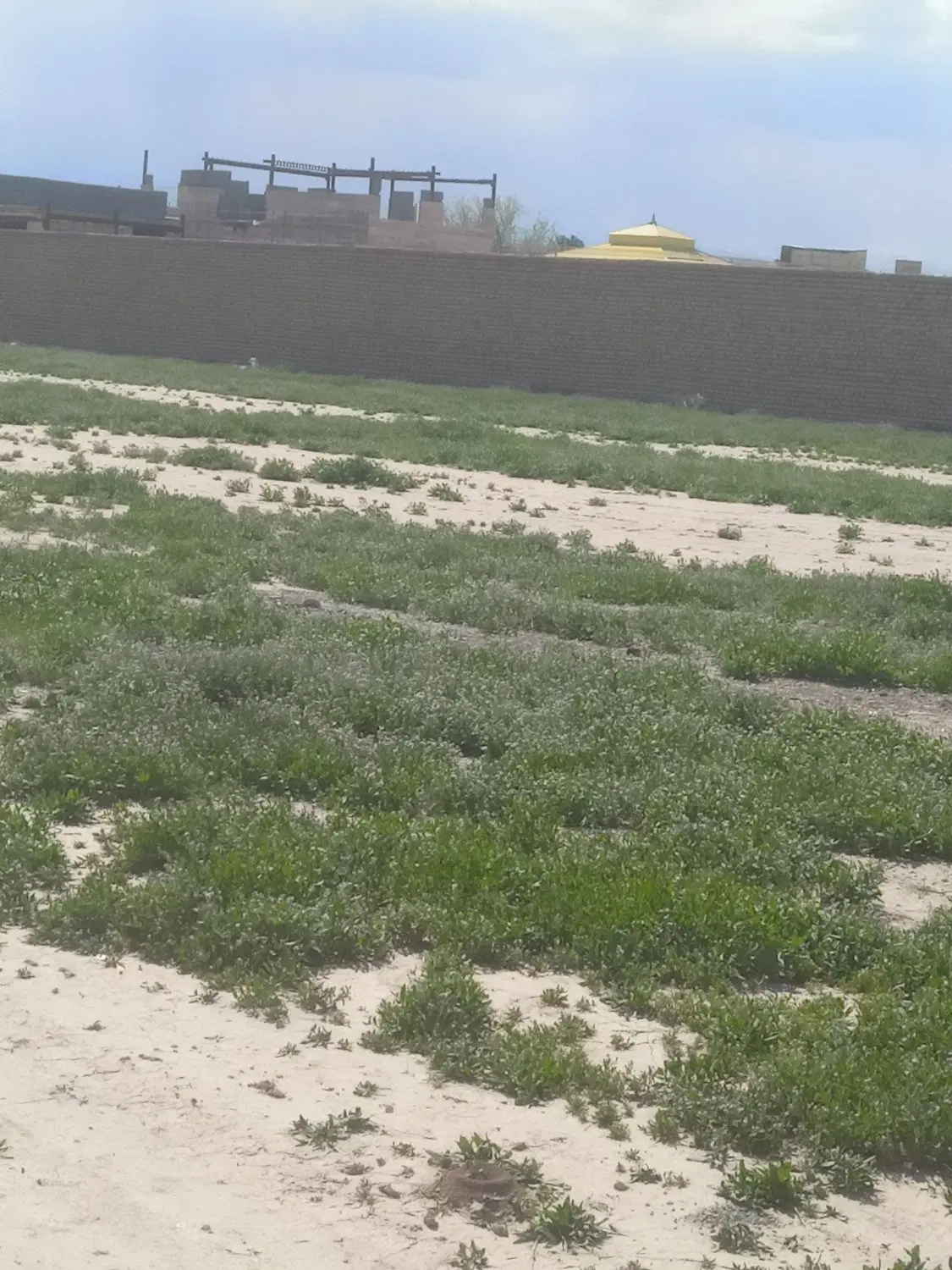 زمین مسکونی شاهنامه