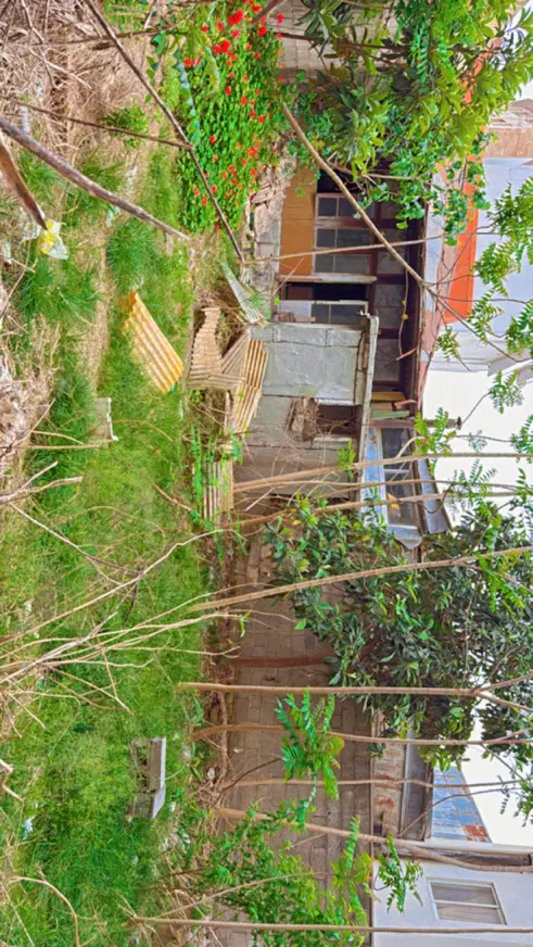 خانه کلنگی با زمین (استثنا )