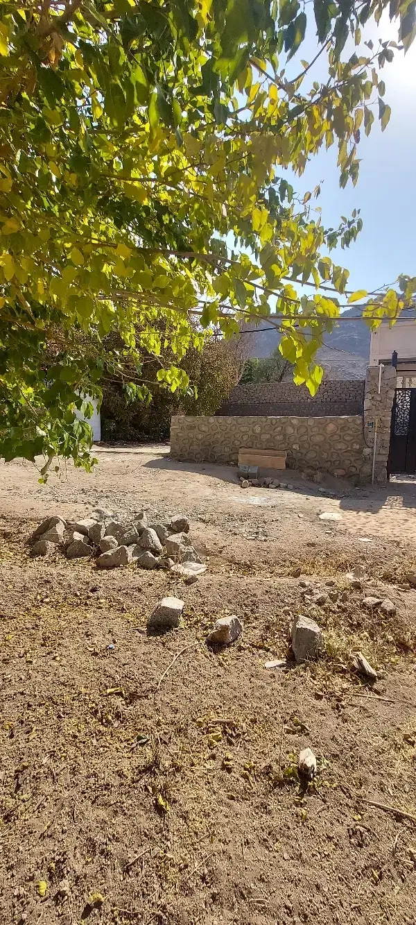 زمین درهشیر سانیج