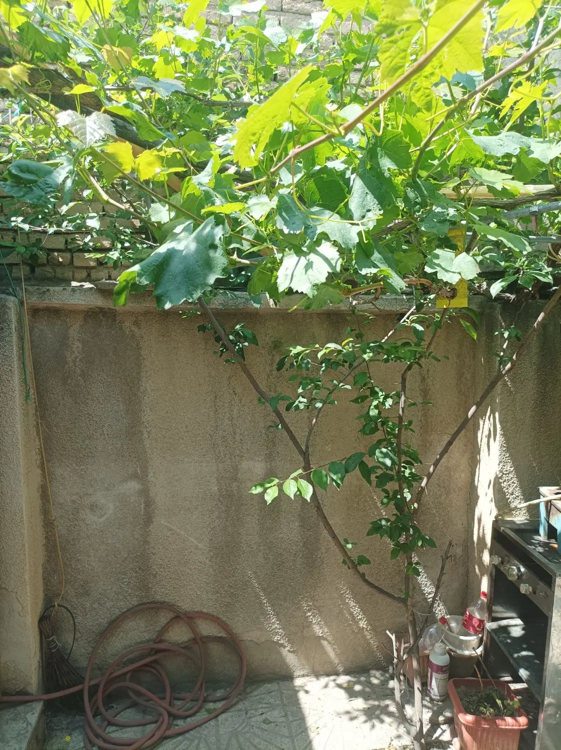 خانه کلنگی سه نبش تیرآهن