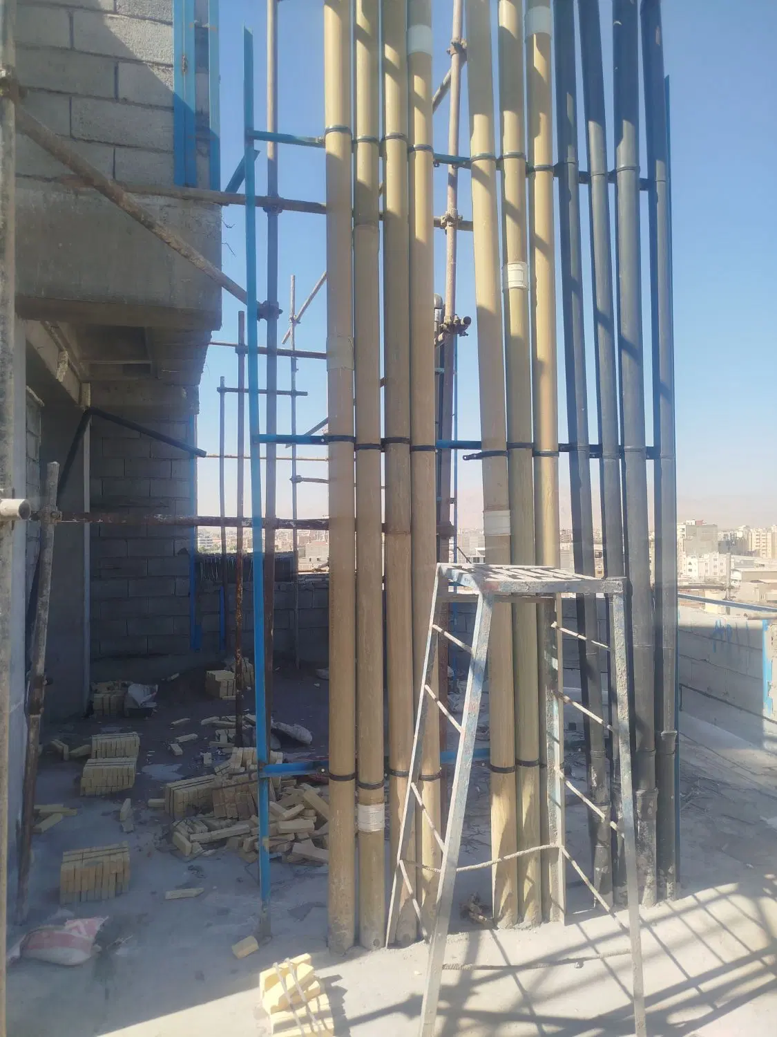 بیست قصب شهرم گلها