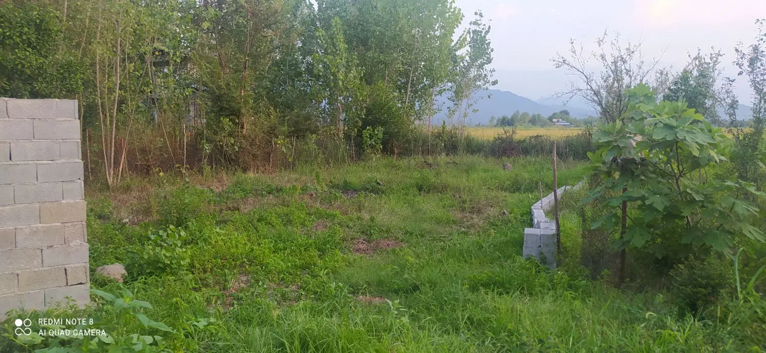 فروش زمین روستای گلرودبار