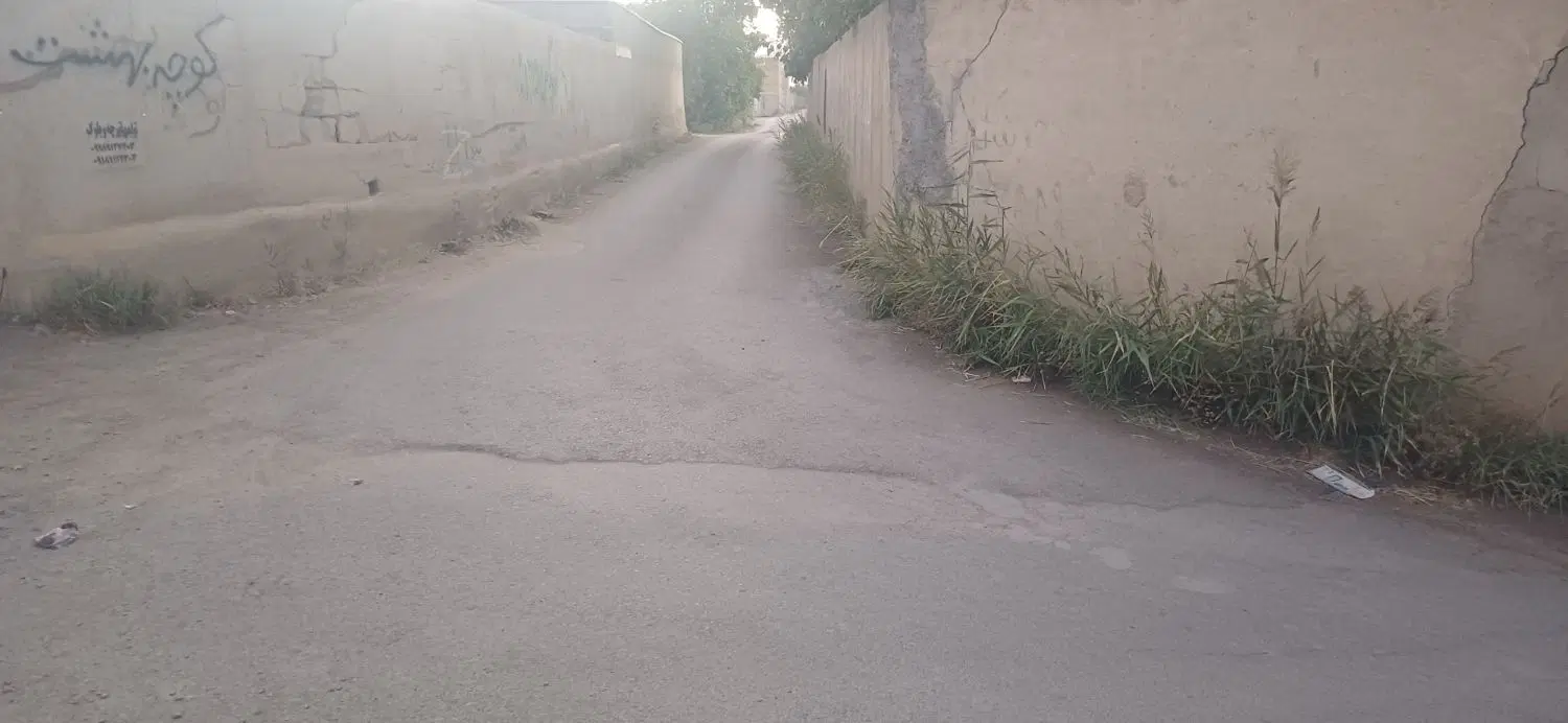 زمین باغی آبشینه