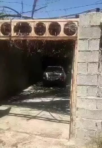باغچه 1000متری دارای درختان ثمری