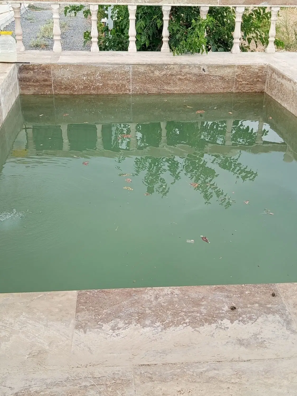 باغ انگور ویلای