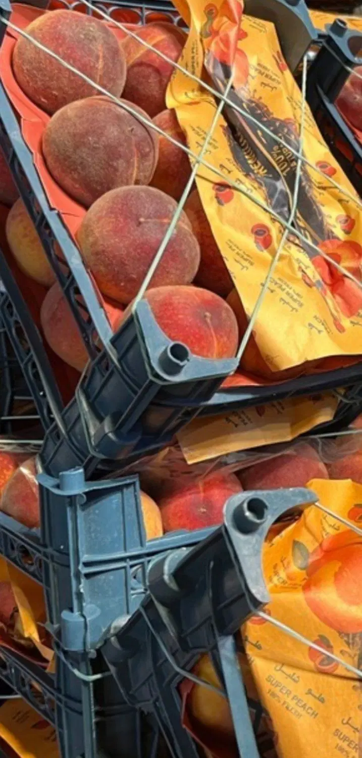 جای ۲ نیسان در تره بار مرکزی فروش شراکتی